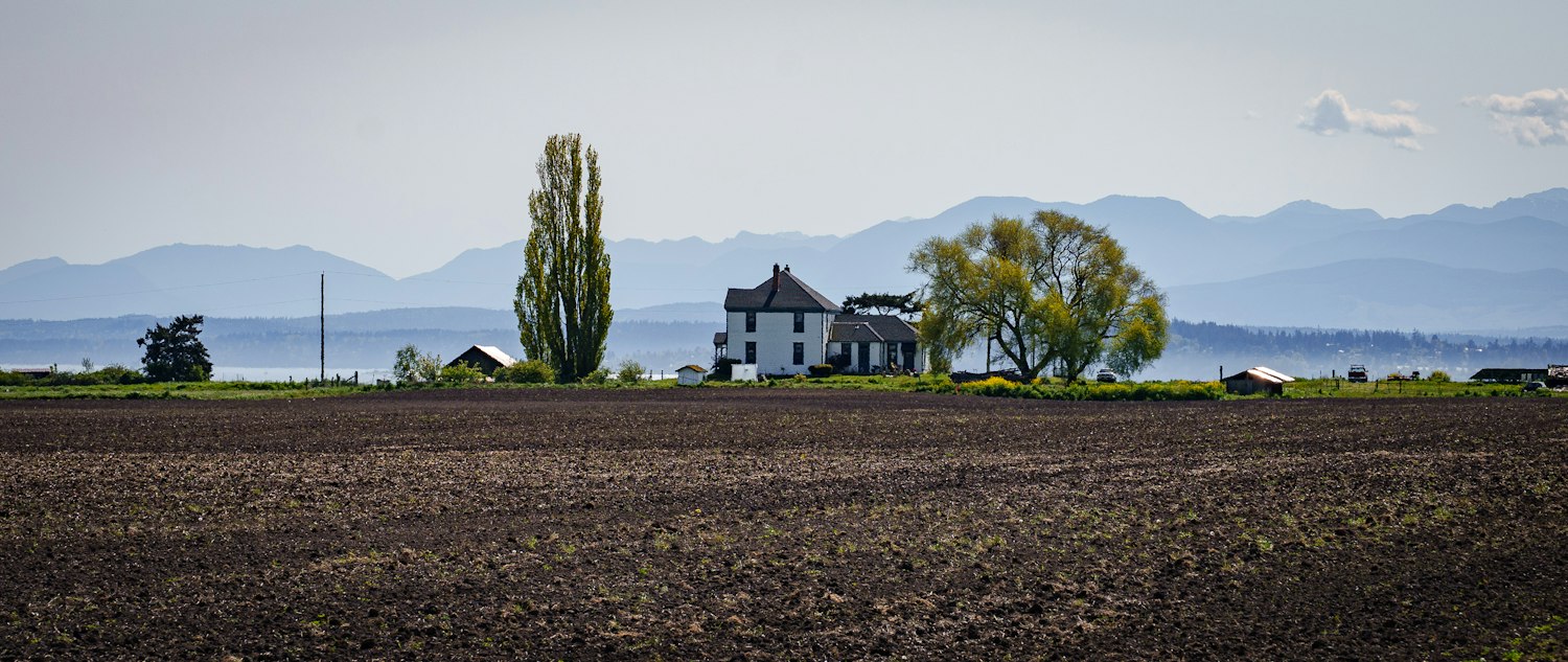 A white farmhouse and tall trees across plowed farmland on Whidbey Island